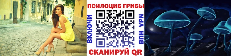 Галлюциногенные грибы Psilocybine cubensis  Суворов 